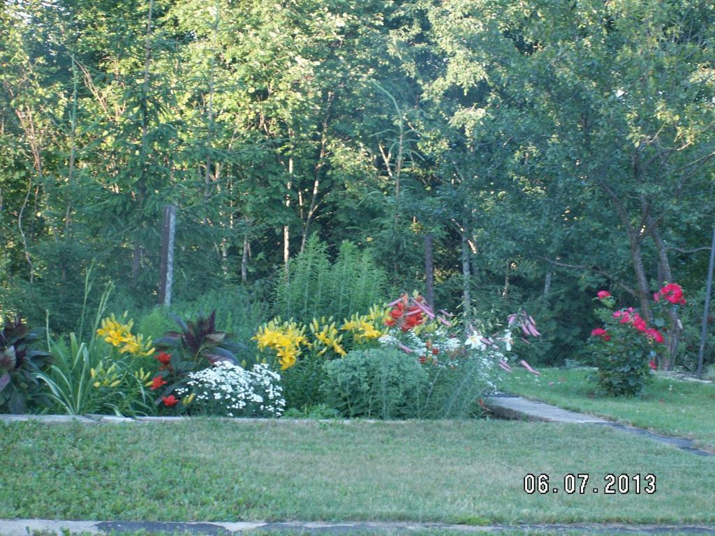Lepa Guest House Valga Exterior photo